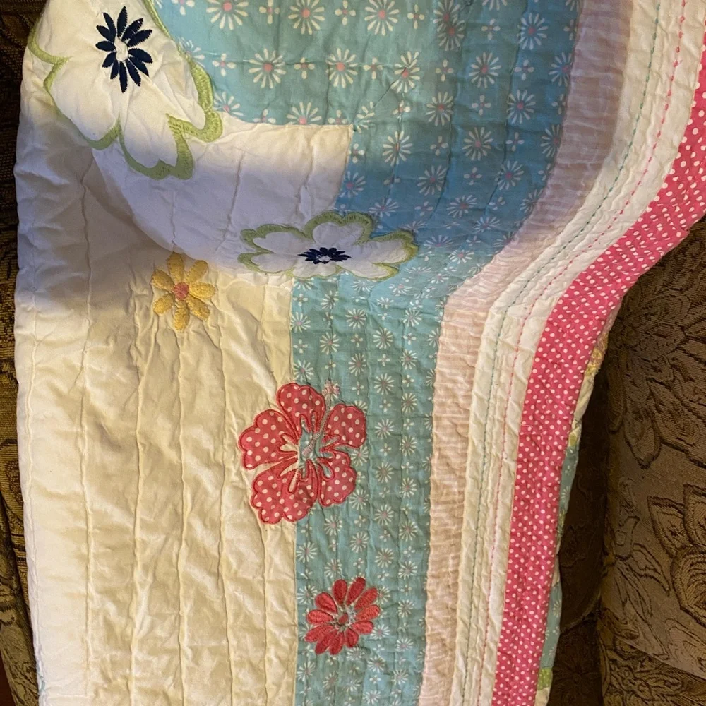 Pottery Barn Kids comforters/sham set, Twin size